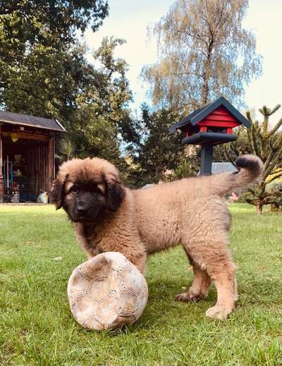 Sie werden so schnell erwachsen ...-Beitrag-Bild