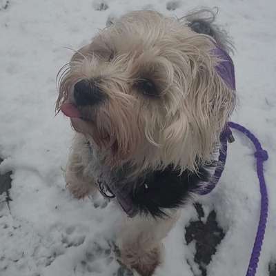 14. Farbenfoto-Challenge "Weiss"-Beitrag-Bild