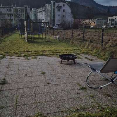 Hundetreffen-Bei uns im Garten  jeder ist herzlich willkommen-Bild