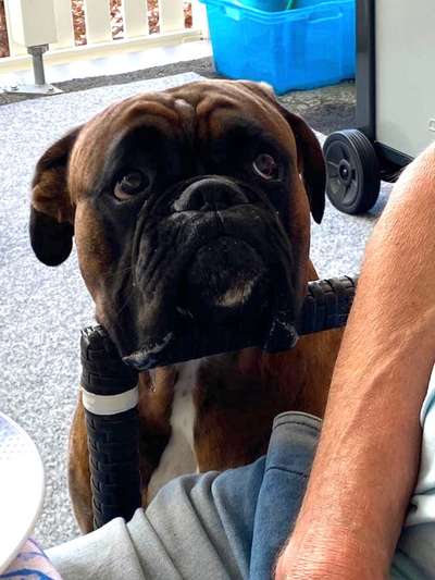 147. Foto Challenge: Bettelblick-Beitrag-Bild