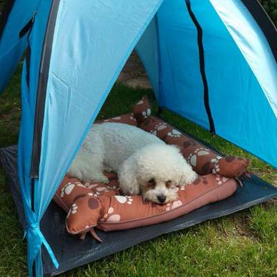 Die Dogorama Kalender Challenge 4/4-Beitrag-Bild