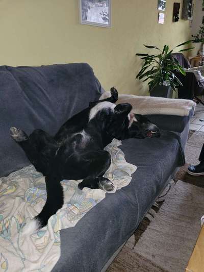 FOTO-Challenge  NR. 91: Die pure Entspannung-Beitrag-Bild