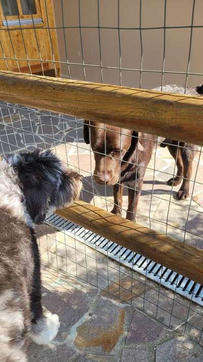 Außergewöhnliche Merkmale-Beitrag-Bild