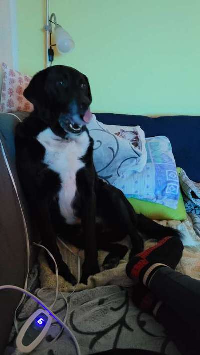 18. Collagen Challenge - Zunge raus!-Beitrag-Bild