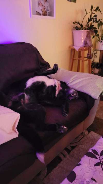 Die unbequemsten und lustigsten Schlafpositionen-Beitrag-Bild