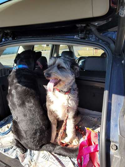 18. Collagen Challenge - Zunge raus!-Beitrag-Bild