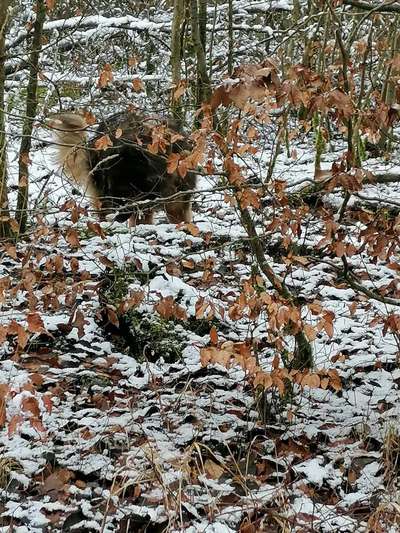 Challenge 21 - wo bin ich : )-Beitrag-Bild