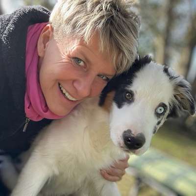 Hundetreffen-Treffen zum spielen-Profilbild