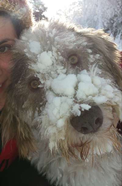 Lieblingsbild-Beitrag-Bild