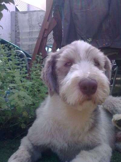 Hier ist der Spaßthread. Zum Schmunzeln und Kaputtlachen-Beitrag-Bild