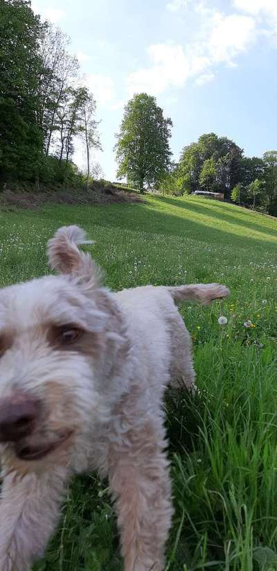 42.Fotochallenge - Eure schönen Momente beim Spaziergang-Beitrag-Bild