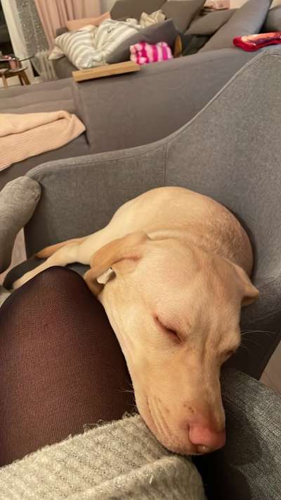 4. Lustiger Schlafplatz-Beitrag-Bild