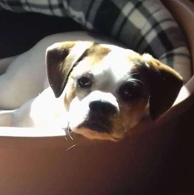 Zeigt eure Portraits-Beitrag-Bild