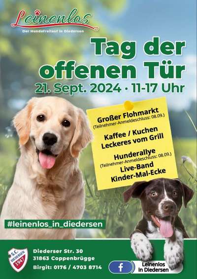 Hundetreffen-Tag der offenen Tür-Bild