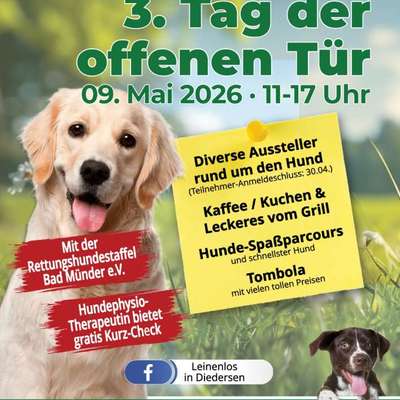 Hundetreffen-Tag der offenen Tür-Bild