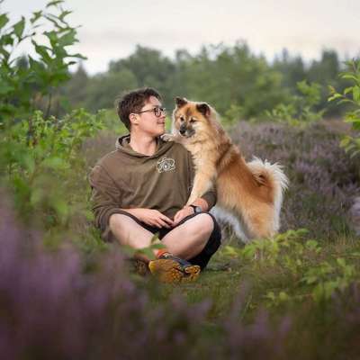 Tierfotografen-Schnutenkunst Tierfotografie-Bild