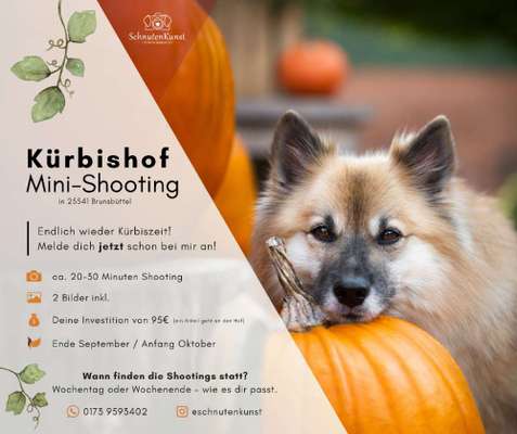 %{de_profession_title}-Kürbishof Mini-Shooting-Bild