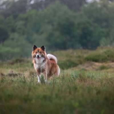 %{de_profession_title}-Dein Fotoshooting-Bild