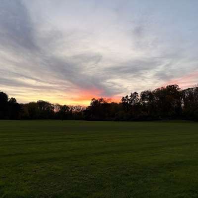 Hundetreffen-Gemeimsame Gassirunden Merheimer Heide-Bild