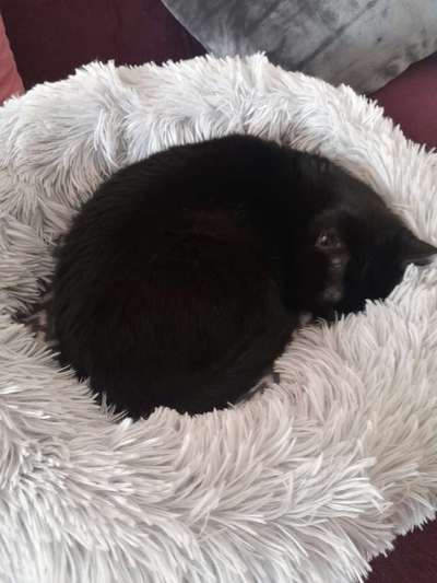 Erfahrung mit Wolkenbett-Beitrag-Bild