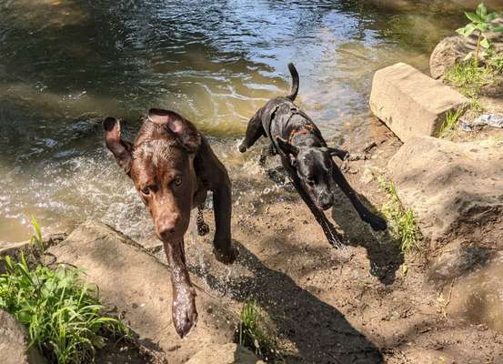 Fotochallenge 37- Sommerfeeling-Beitrag-Bild