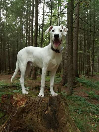 Lieblingsbild-Beitrag-Bild