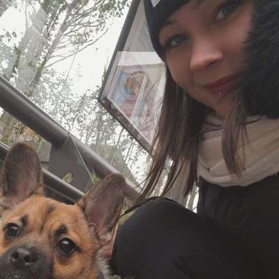 Hundetreffen-Spiel Freunde finden-Bild