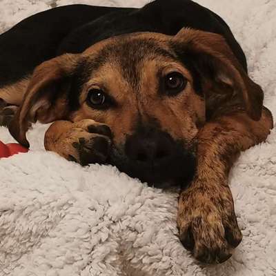 Fotochallange Nr. 57     PORTRÄT.   Beendet!!!!!!!!-Beitrag-Bild