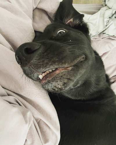 20. Handy -Foto-Callenge-Beitrag-Bild