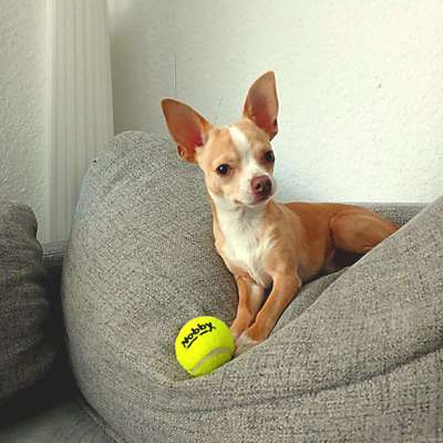 138. Fotochallenge 

(M)Ein Ball und ich-Beitrag-Bild