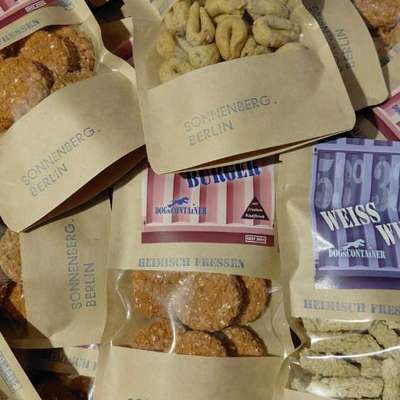 %{de_profession_title}-DOGsCONTAiNER-Bild