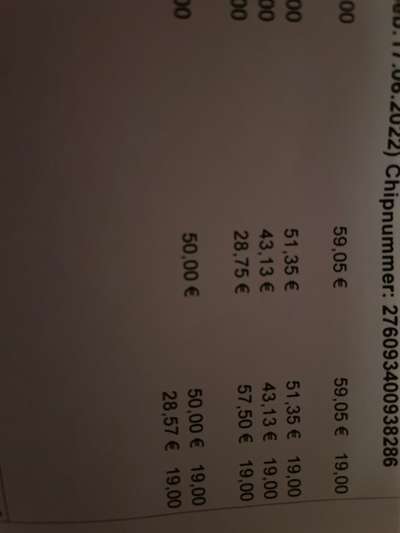 Crowdfunding für Tierarztkosten: Wenn Hundeeltern auf Unterstützung angewiesen sind-Beitrag-Bild