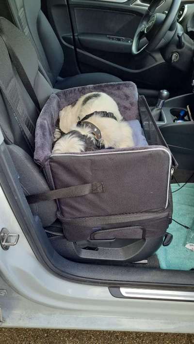 Autofahrt-Beitrag-Bild