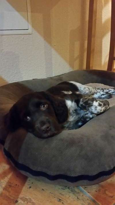 Sie werden so schnell erwachsen ...-Beitrag-Bild