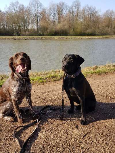 Dogorama-Monats-Challenge-Mai "Wasser"-Beitrag-Bild