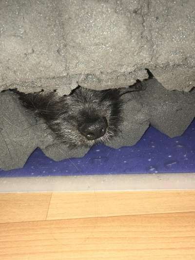 Dogorama Photo Challenge- Höhlen/Tunnel-Beitrag-Bild