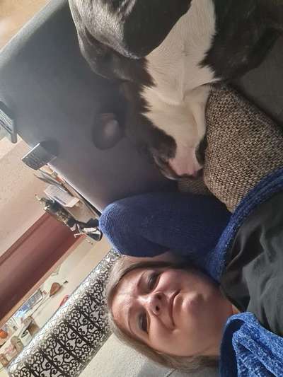 Dogorama Photo Challenge - Selfie Time!-Beitrag-Bild