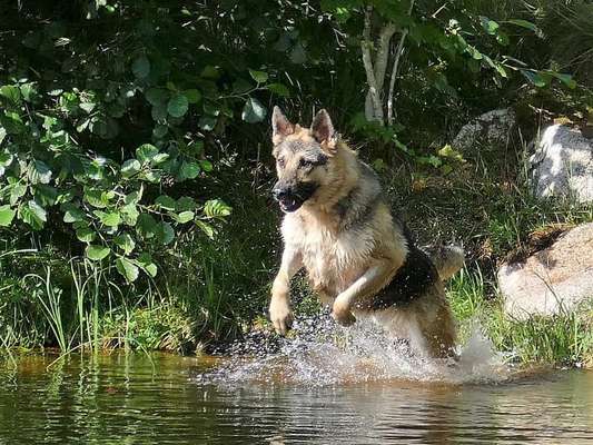 FOTOCHALLANGE NR.71 BADEFREUDE-Beitrag-Bild