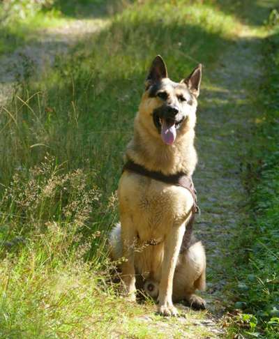 Doppelgänger gesucht !-Beitrag-Bild