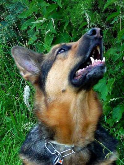 FOTOCHALLENGE 86-Beitrag-Bild