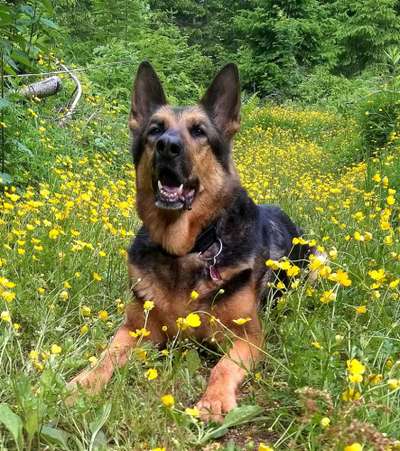 Fotochallenge 78

Es grünt und blüht-Beitrag-Bild