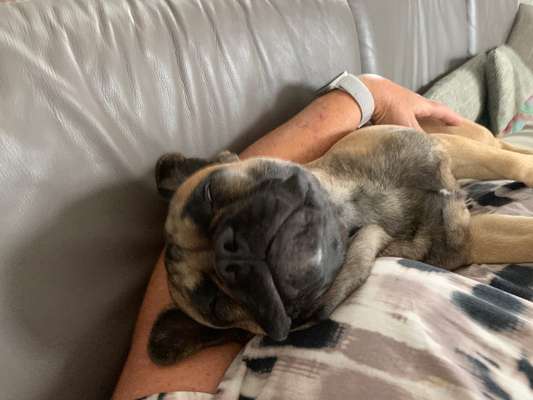 Außergewöhnliche Merkmale-Beitrag-Bild