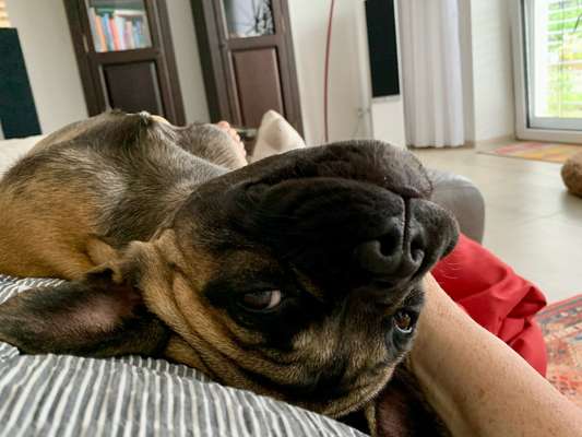 Foto-Challange No.1 - Alles aber nicht die Kamera-Beitrag-Bild