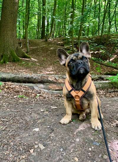 FOTOCHALLENGE 86-Beitrag-Bild