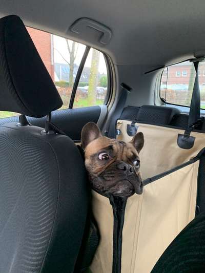 117. Fotochallenge-Beitrag-Bild