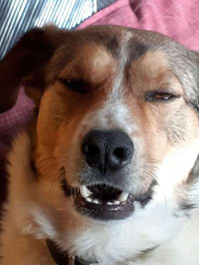 Lieblingsbild :D-Beitrag-Bild