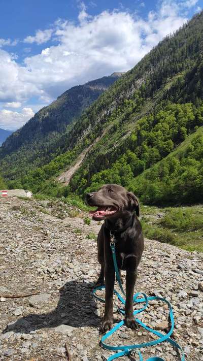 Die Dogorama Wochen Challenge: “Dein Hund im Urlaub”-Beitrag-Bild