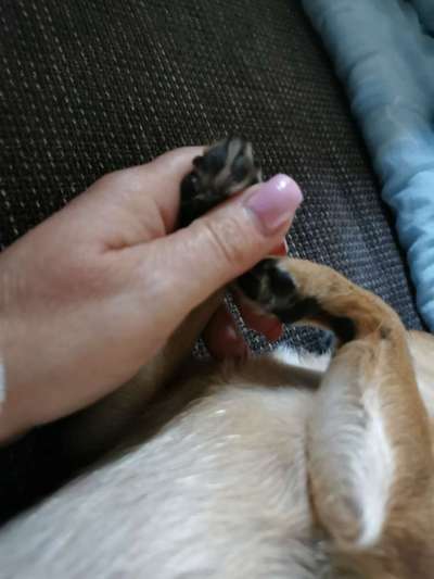 Blick fürs Detail!-Beitrag-Bild