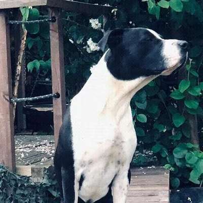 Lieblingsbild :D-Beitrag-Bild