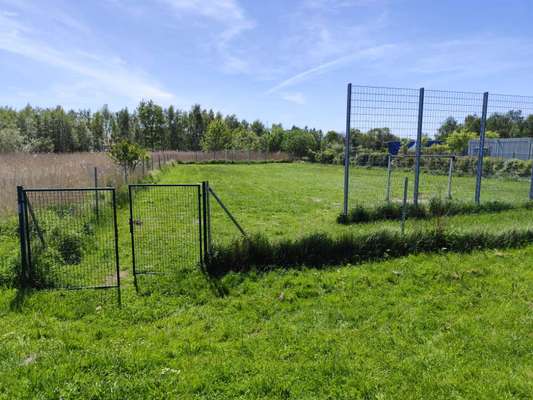 Hundeauslaufgebiet-Fußballfeld unbenutzt-Bild